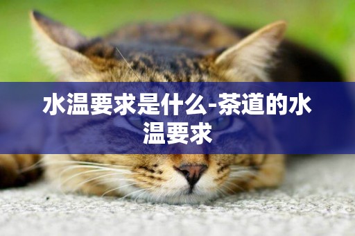 水溫要求是什么-茶道的水溫要求