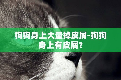 狗狗身上大量掉皮屑-狗狗身上有皮屑？