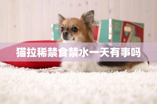 貓拉稀禁食禁水一天有事嗎