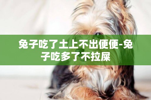 兔子吃了土上不出便便-兔子吃多了不拉屎