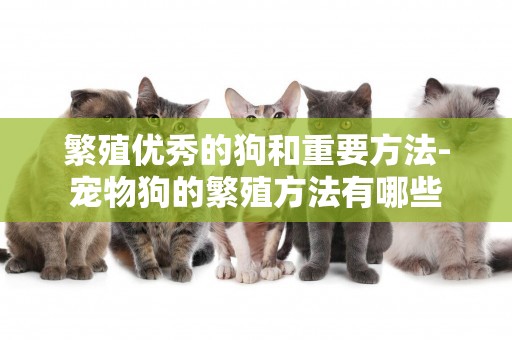 繁殖優秀的狗和重要方法-寵物狗的繁殖方法有哪些