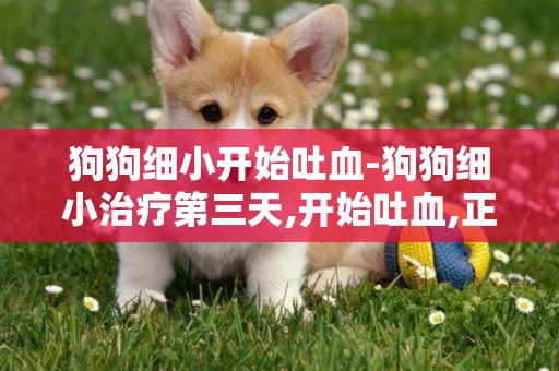 狗狗細小開始吐血-狗狗細小治療第三天,開始吐血,正常嗎?