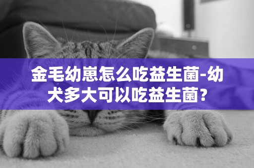 金毛幼崽怎么吃益生菌-幼犬多大可以吃益生菌？