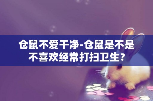 倉鼠不愛干凈-倉鼠是不是不喜歡經常打掃衛生？