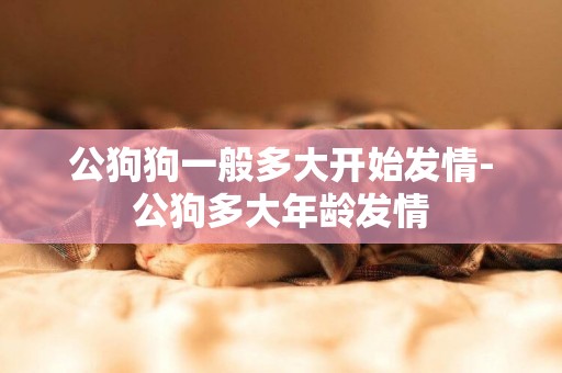 公狗狗一般多大開始發情-公狗多大年齡發情