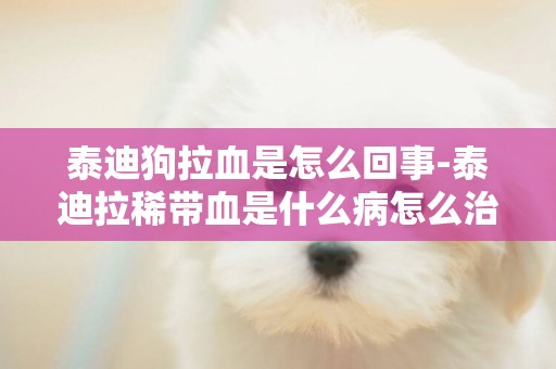 泰迪狗拉血是怎么回事-泰迪拉稀帶血是什么病怎么治療