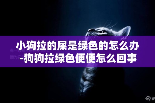 小狗拉的屎是綠色的怎么辦-狗狗拉綠色便便怎么回事