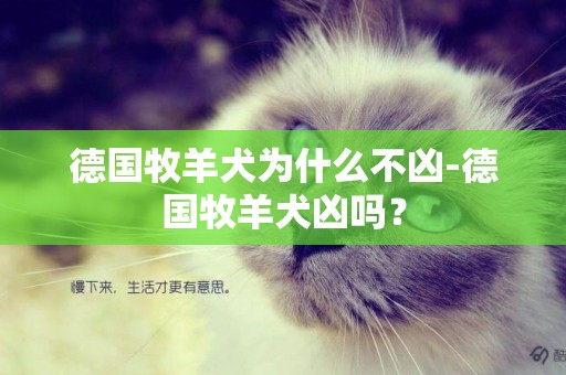 德國牧羊犬為什么不兇-德國牧羊犬兇嗎？