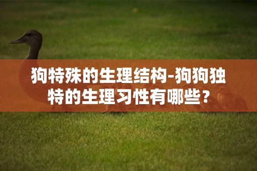 狗特殊的生理結構-狗狗獨特的生理習性有哪些？