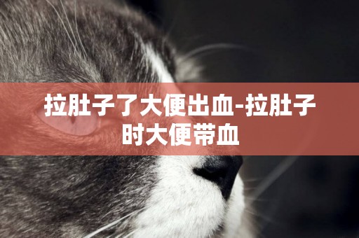 拉肚子了大便出血-拉肚子時大便帶血