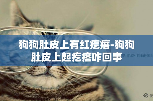狗狗肚皮上有紅疙瘩-狗狗肚皮上起疙瘩咋回事