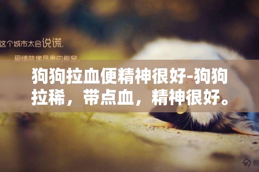 狗狗拉血便精神很好-狗狗拉稀，帶點血，精神很好。