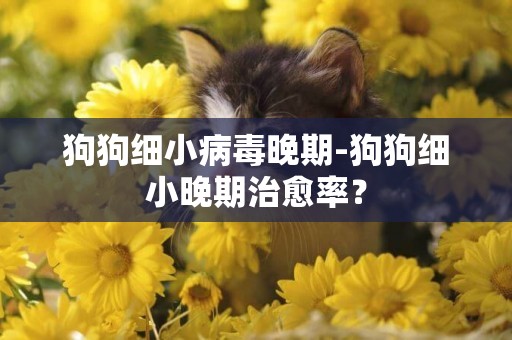 狗狗細小病毒晚期-狗狗細小晚期治愈率？