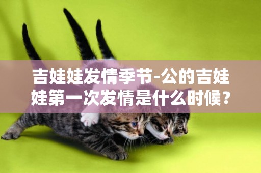 吉娃娃發情季節-公的吉娃娃第一次發情是什么時候？