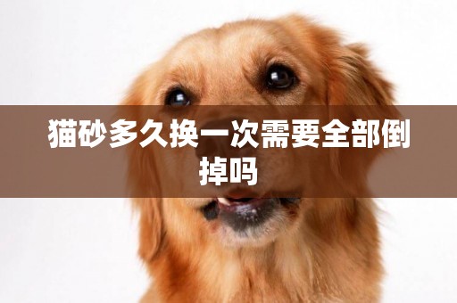 貓砂多久換一次需要全部倒掉嗎