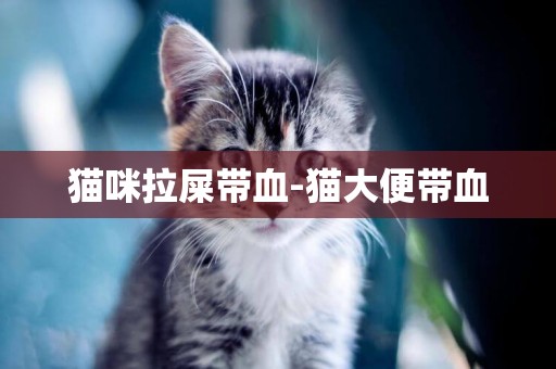 貓咪拉屎帶血-貓大便帶血