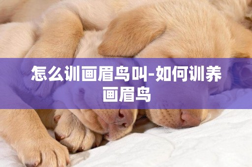 怎么訓畫眉鳥叫-如何訓養畫眉鳥