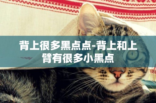 背上很多黑點點-背上和上臂有很多小黑點