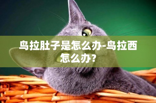 鳥拉肚子是怎么辦-鳥拉西怎么辦？