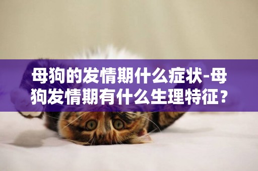 母狗的發情期什么癥狀-母狗發情期有什么生理特征？
