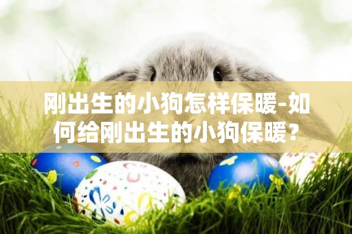 剛出生的小狗怎樣保暖-如何給剛出生的小狗保暖？