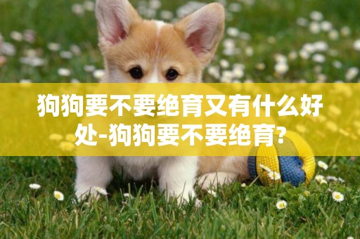 狗狗要不要絕育又有什么好處-狗狗要不要絕育?