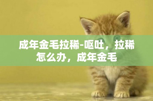 成年金毛拉稀-嘔吐，拉稀怎么辦，成年金毛