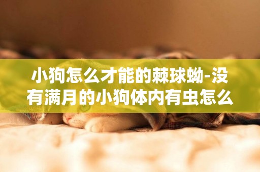 小狗怎么才能的棘球蚴-沒有滿月的小狗體內有蟲怎么辦