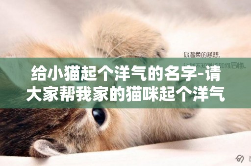 給小貓起個洋氣的名字-請大家幫我家的貓咪起個洋氣點的名字