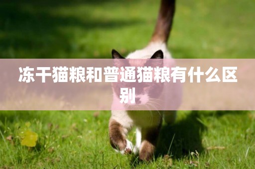 凍干貓糧和普通貓糧有什么區別