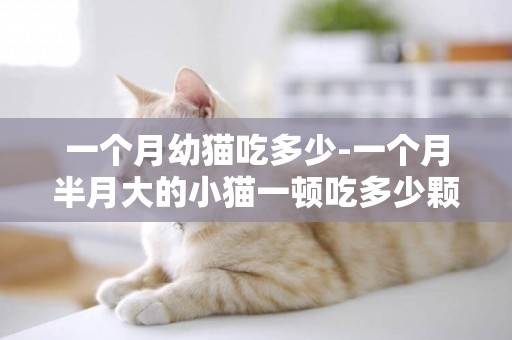 一個月幼貓吃多少-一個月半月大的小貓一頓吃多少顆貓糧啊？