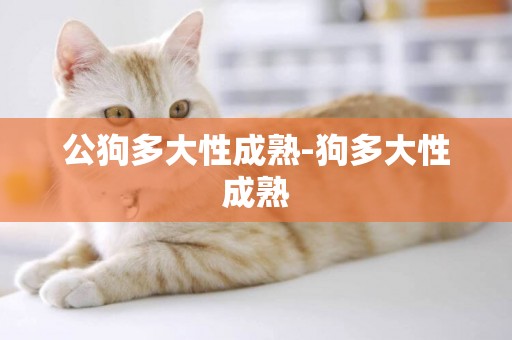 公狗多大性成熟-狗多大性成熟