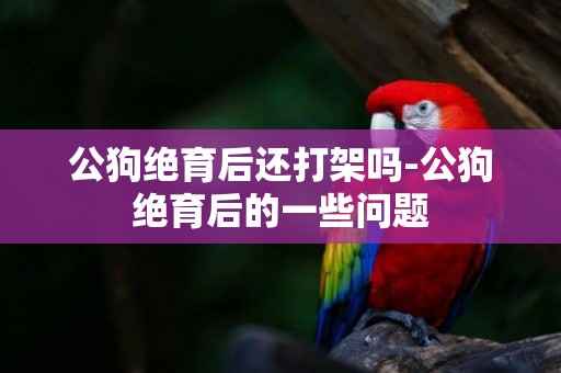 公狗絕育后還打架嗎-公狗絕育后的一些問題