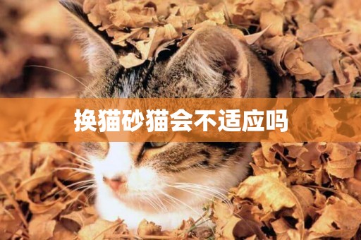 換貓砂貓會不適應嗎