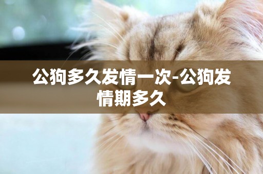 公狗多久發情一次-公狗發情期多久