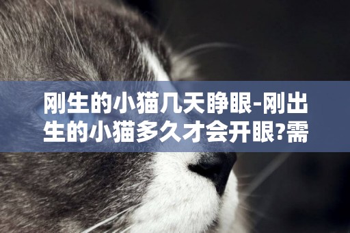 剛生的小貓幾天睜眼-剛出生的小貓多久才會開眼?需要注意些什么?