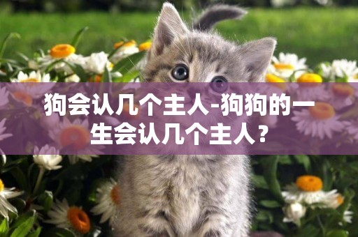 狗會認幾個主人-狗狗的一生會認幾個主人？