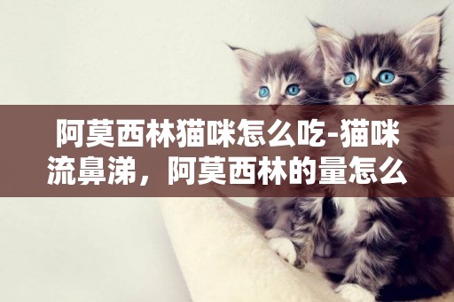 阿莫西林貓咪怎么吃-貓咪流鼻涕，阿莫西林的量怎么吃。