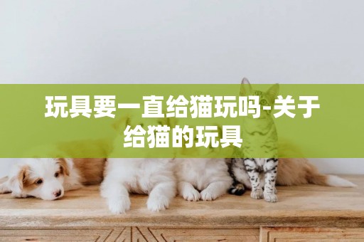 玩具要一直給貓玩嗎-關于給貓的玩具