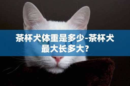 茶杯犬體重是多少-茶杯犬最大長多大？