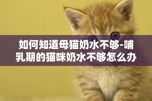 如何知道母貓奶水不夠-哺乳期的貓咪奶水不夠怎么辦？