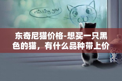 東奇尼貓價格-想買一只黑色的貓，有什么品種帶上價格推薦下