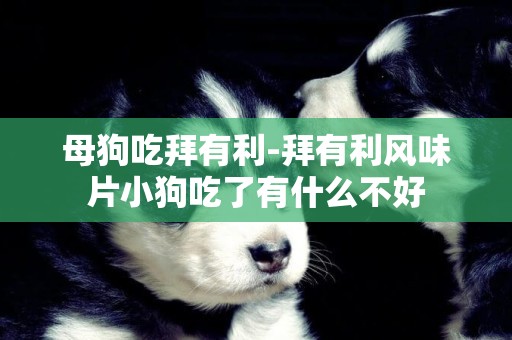 母狗吃拜有利-拜有利風味片小狗吃了有什么不好