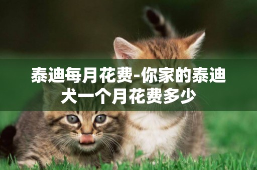 泰迪每月花費-你家的泰迪犬一個月花費多少