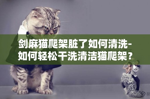 劍麻貓爬架臟了如何清洗-如何輕松干洗清潔貓爬架？