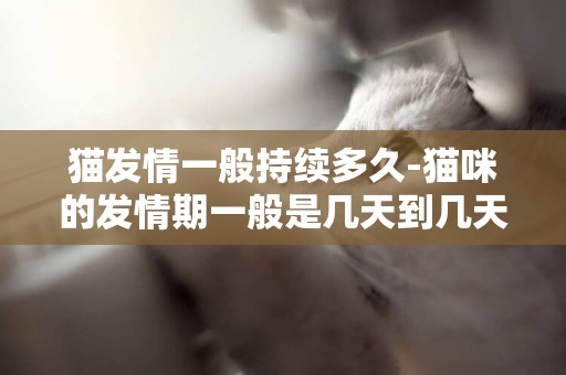貓發情一般持續多久-貓咪的發情期一般是幾天到幾天