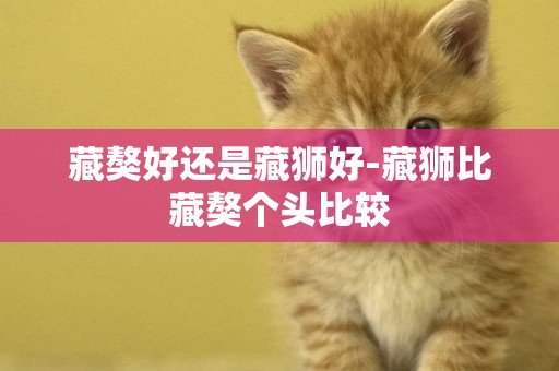 藏獒好還是藏獅好-藏獅比藏獒個頭比較