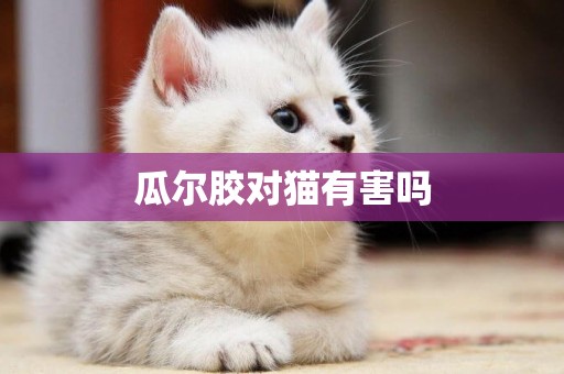 瓜爾膠對貓有害嗎