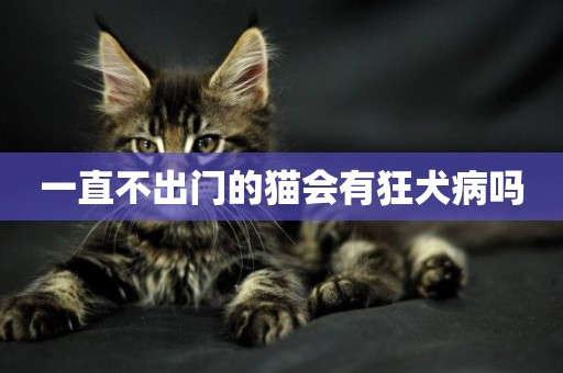 一直不出門的貓會有狂犬病嗎