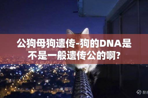 公狗母狗遺傳-狗的DNA是不是一般遺傳公的啊?